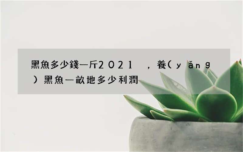 黑魚多少錢一斤2021，養(yǎng)黑魚一畝地多少利潤